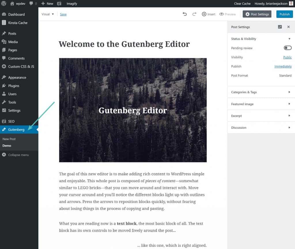 gutenberg editor