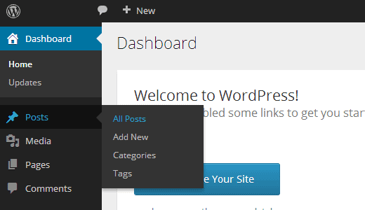 wordpress interface