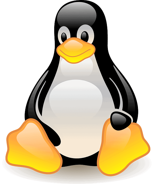 linux penguin